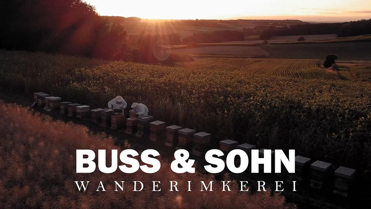 Video laden: 